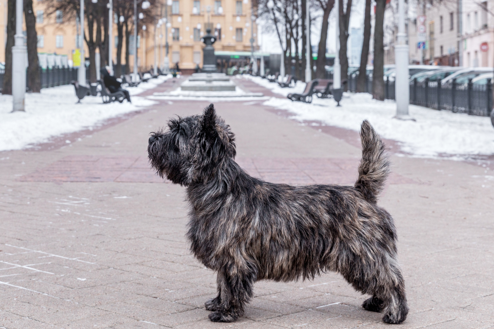 Фотограф Екатерина Рябченко - семейный, детский, свадебный, школьный фотограф в городе Минск, фотография от 22.01.2025