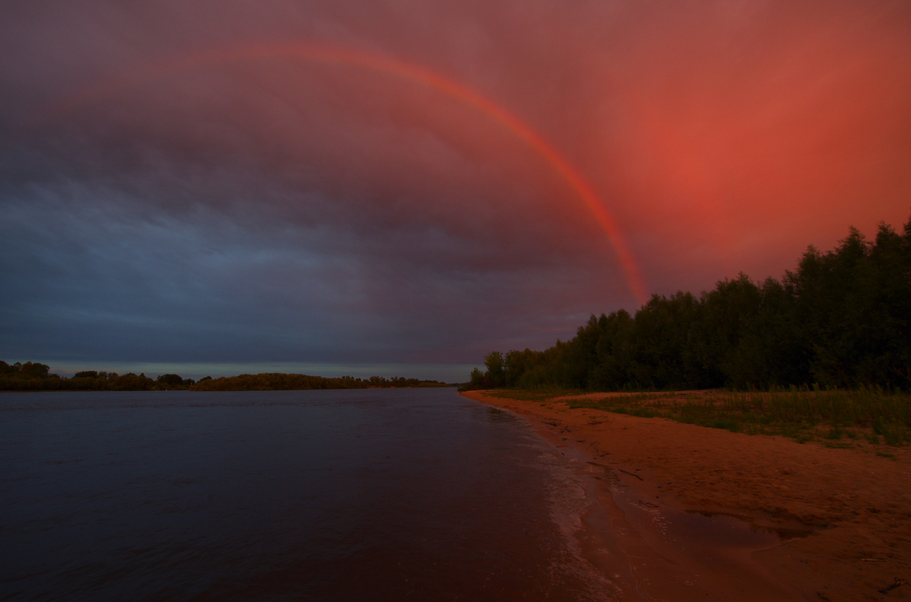 Летний вечер | foto.by фото.бай