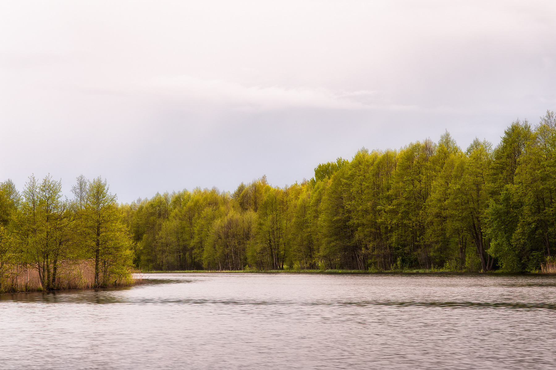 На старом озере. | Фотограф Стас Аврамчик | foto.by фото.бай