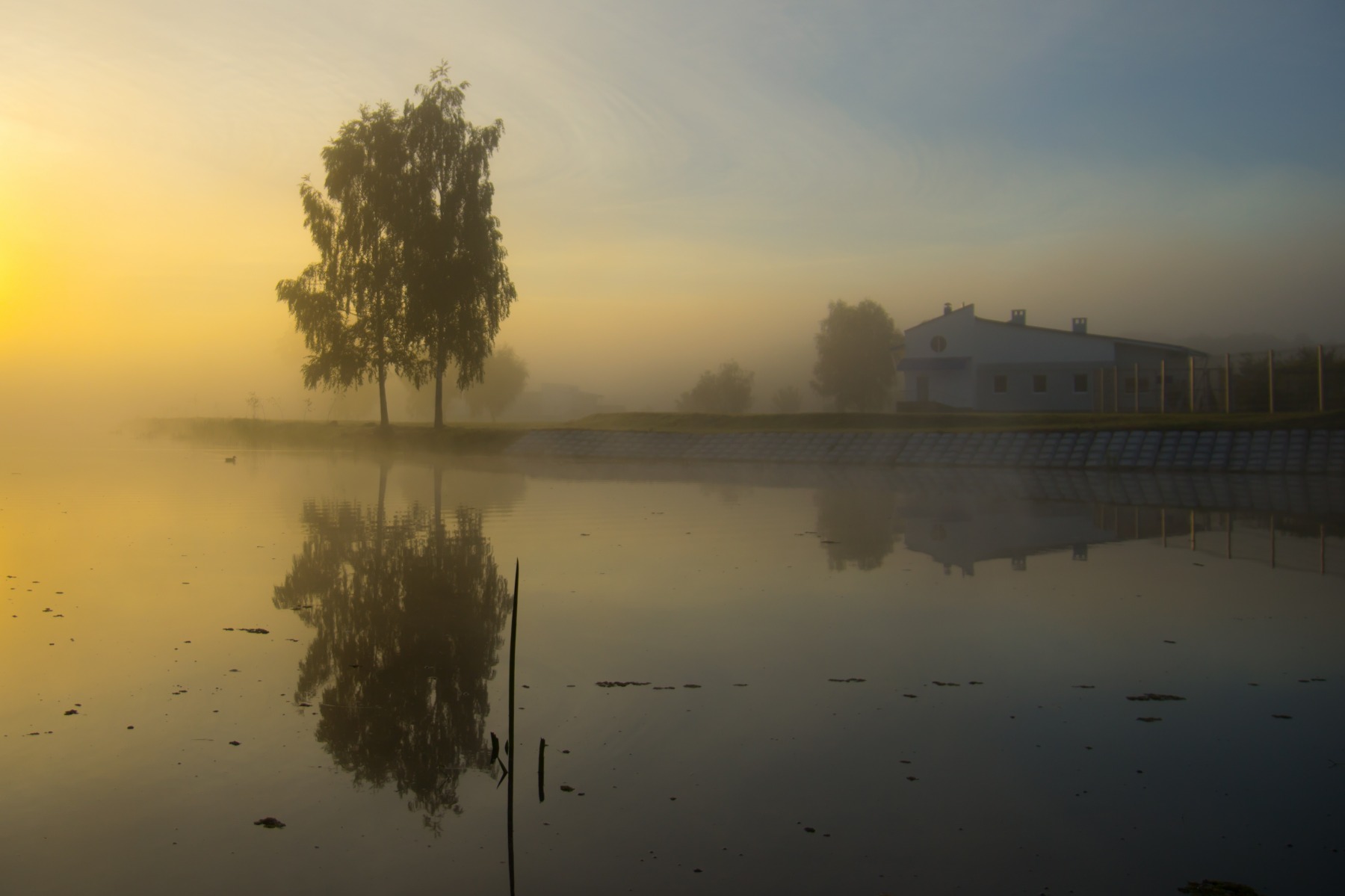 Туманное утро на речке | Фотограф Виктор С | foto.by фото.бай