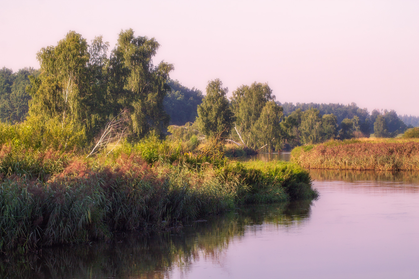 На берегу реки | Фотограф Сергей Шабуневич | foto.by фото.бай