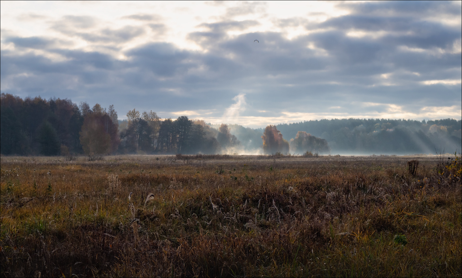 Осенний пейзаж | Фотограф Сергей Шабуневич | foto.by фото.бай