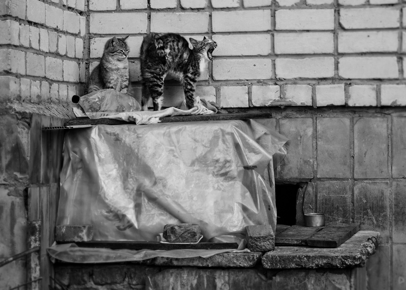 Без названия | Фотограф Дмитрий Шпак | foto.by фото.бай