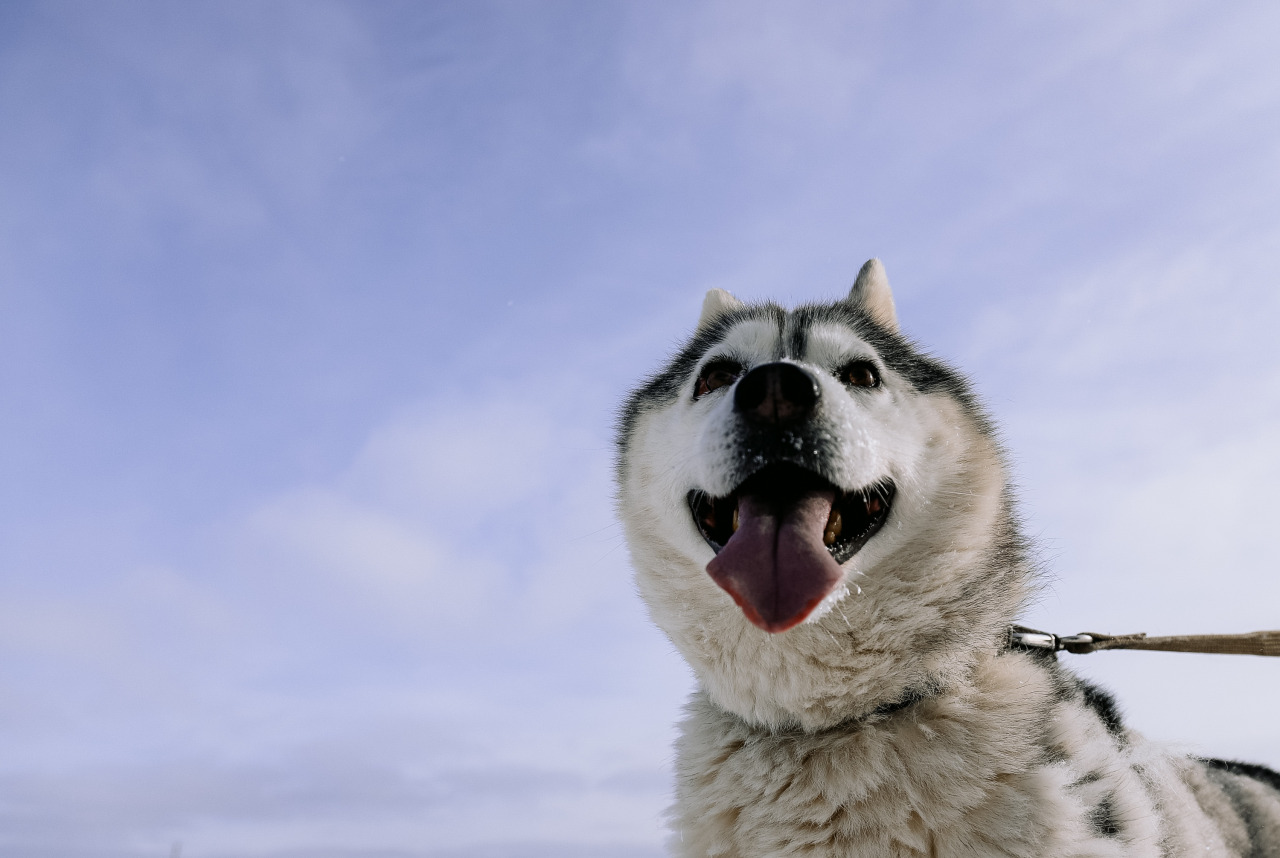 Фотограф в Минске - семейный, свадебный, репортажный фотограф. Фотосъёмка крещения, дня рождения, юбилея, венчания, корпоратива в Минске., фотография от 18.02.2026