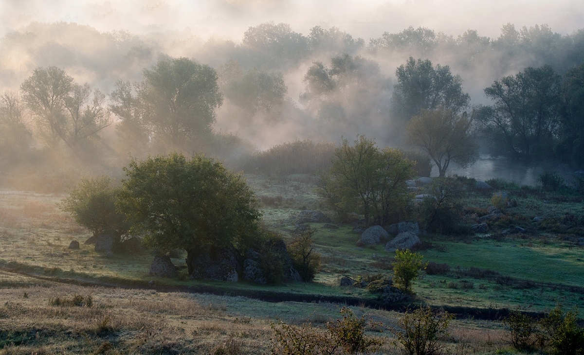 Утро долины Протыч. | Фотограф Александр Игнатьев | foto.by фото.бай