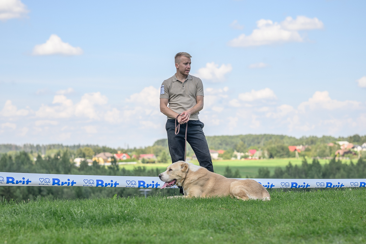 Контент-фотограф, промышленный фотограф, фотограф животных в городе Минск - Сергей Клеменок, фотография от 17.02.2026