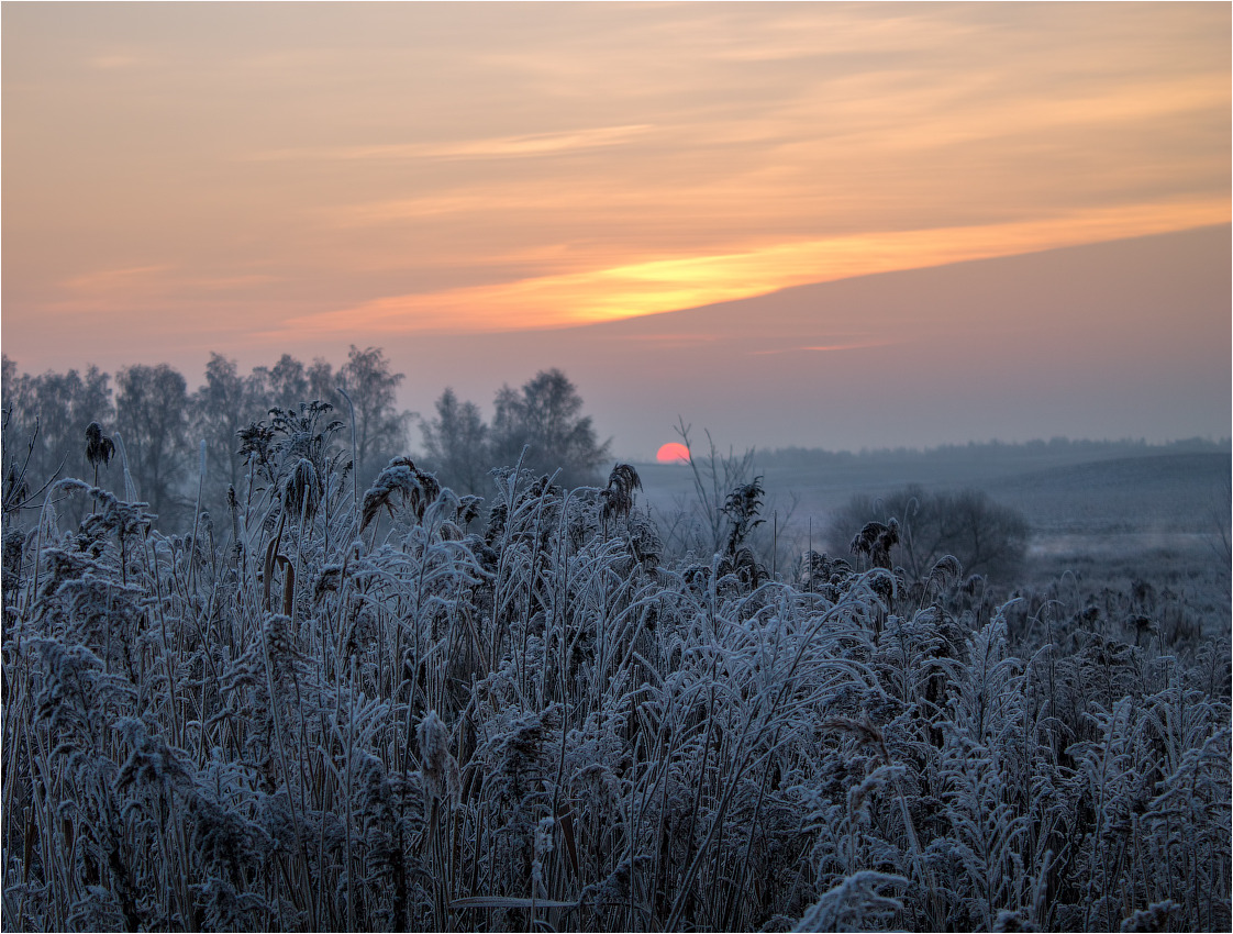 8 декабря белоруссия. Прохладный рассвет. Прохладный рассвет фото. Фото Прохладный природа. Рассвет фото изморозь.
