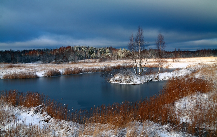 Зима в голубом | Фотограф Андрей Марцинкевич | foto.by фото.бай
