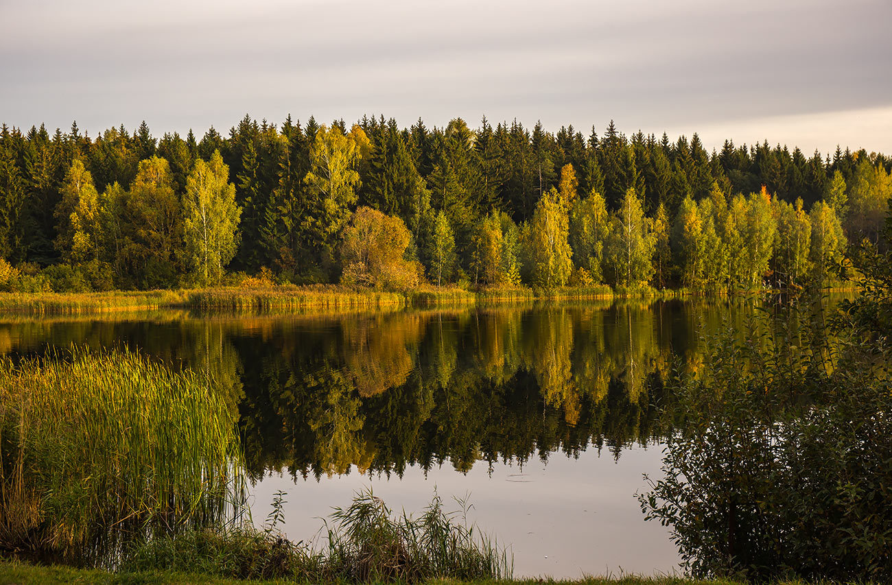 Осень | Фотограф Александр Шиляев | foto.by фото.бай