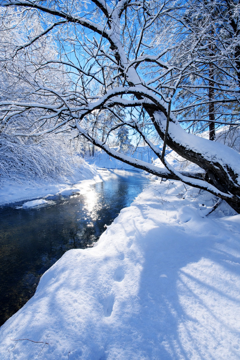 Моя застывшая малая Родина | Фотограф Дмитрий Голуб | foto.by фото.бай