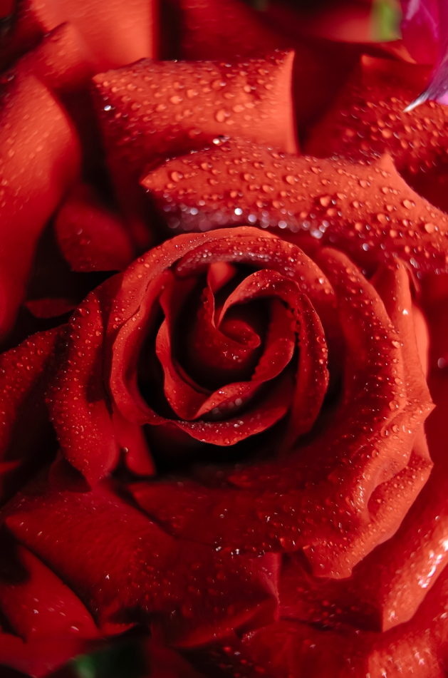 Фотограф Мария Войтик, фотография от 24.12.2025