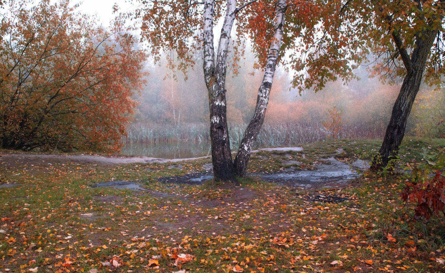 Осень у пруда | Фотограф Сергей Шабуневич | foto.by фото.бай