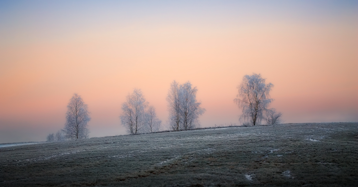 Иней на деревьях | Фотограф Сергей Шабуневич | foto.by фото.бай