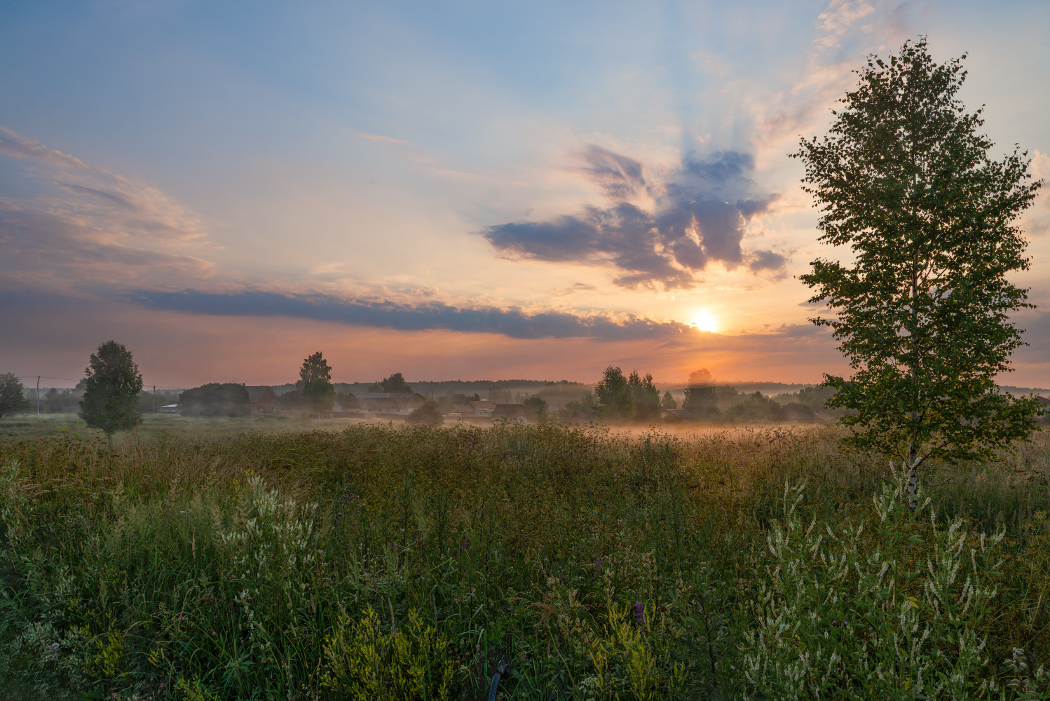 утренний полёт | Фотограф Виталий Полуэктов | foto.by фото.бай