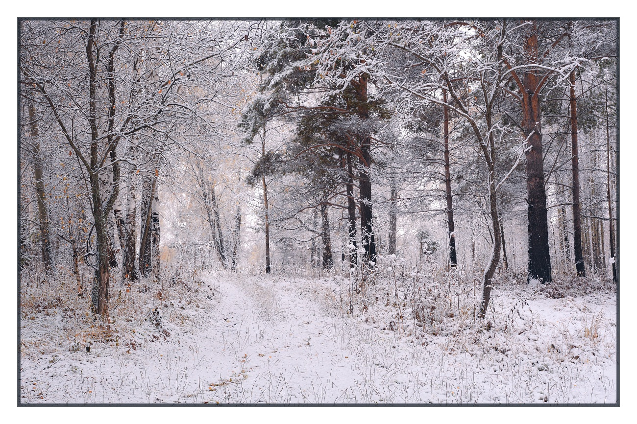 Зима не за горами | Фотограф Mihail | foto.by фото.бай