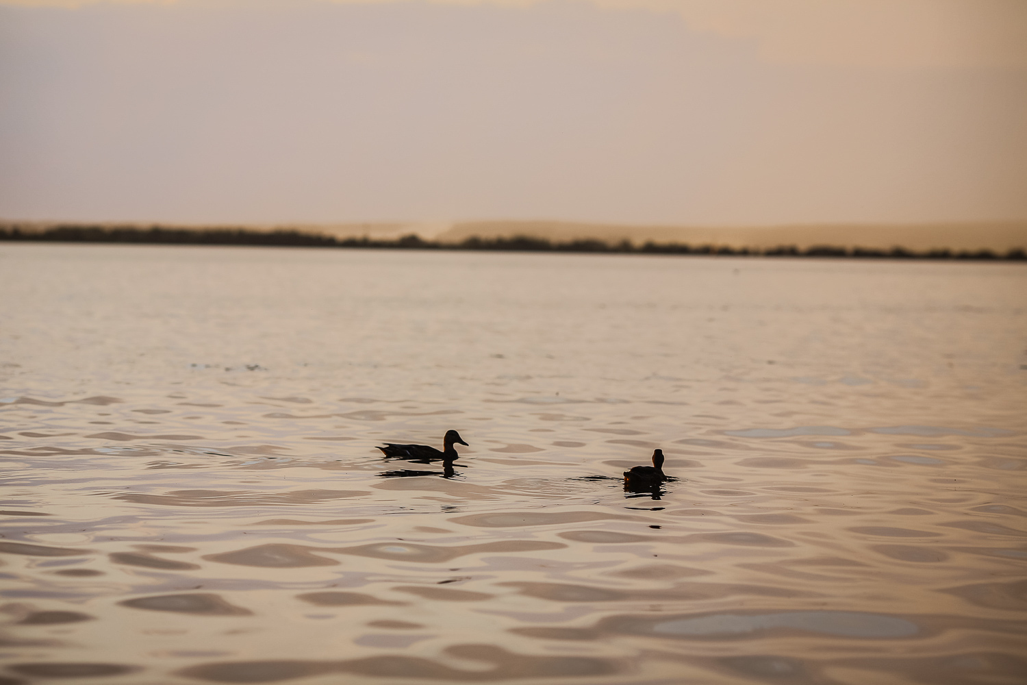 Фотограф Борис Карасик, фотография от 09.01.2019