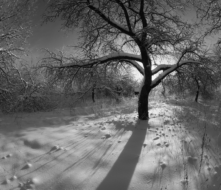 зимний день | Фотограф Сергей Шляга | foto.by фото.бай