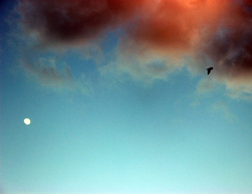 луна | Фотограф Кристина Семенякина | foto.by фото.бай