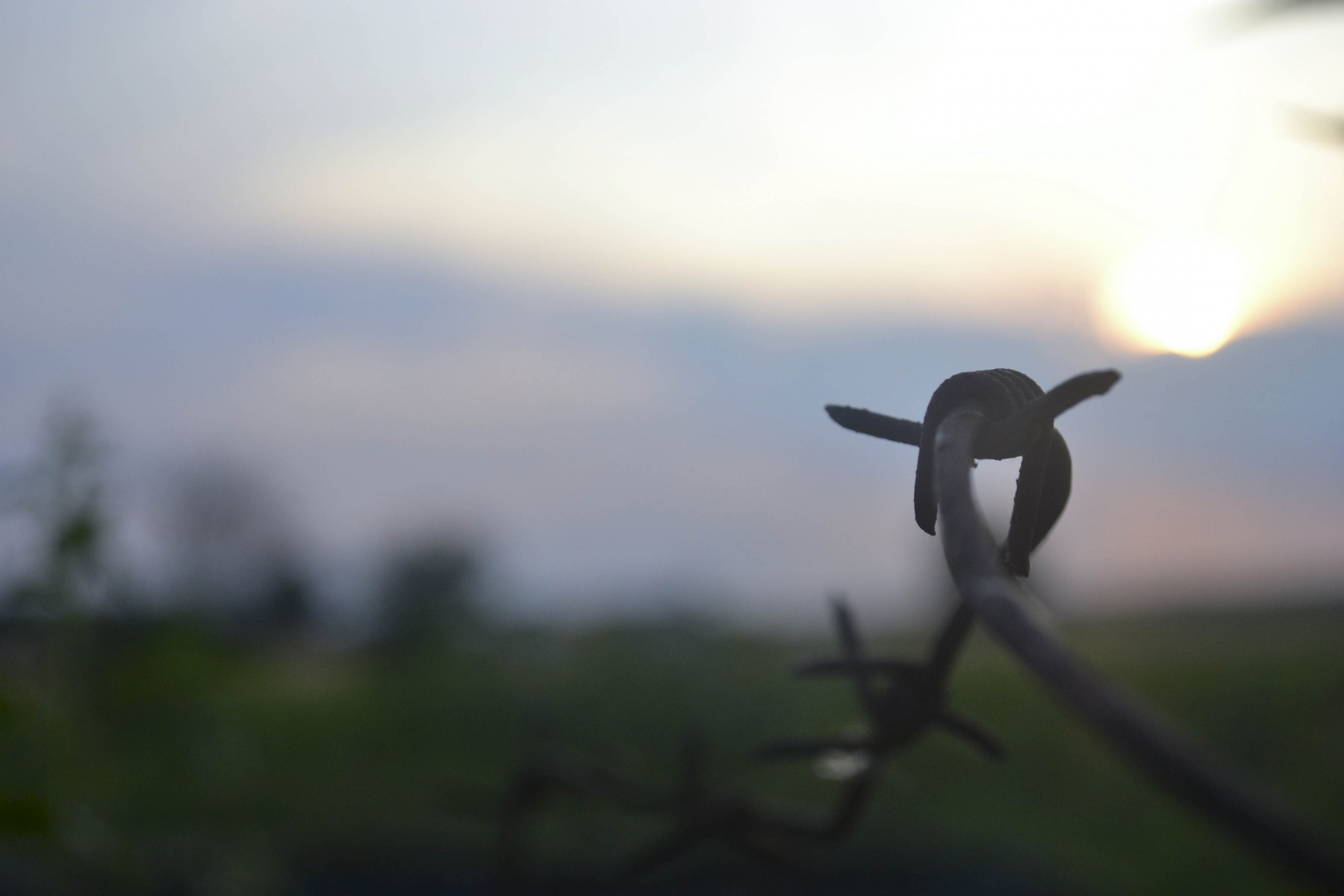 закат | Фотограф Алина Круликовская | foto.by фото.бай