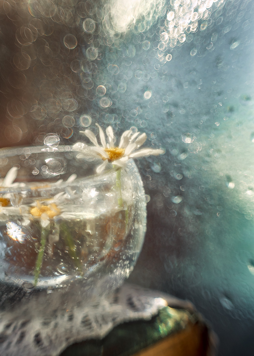 акварель лета | Фотограф Ирина Горюкина | foto.by фото.бай