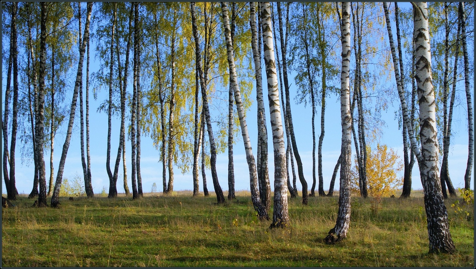 Сентябрь. | Фотограф Александр Тхорев | foto.by фото.бай