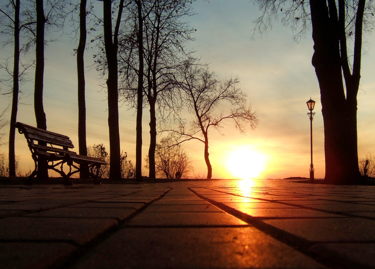 Восход | Фотограф Виктор Позняков | foto.by фото.бай