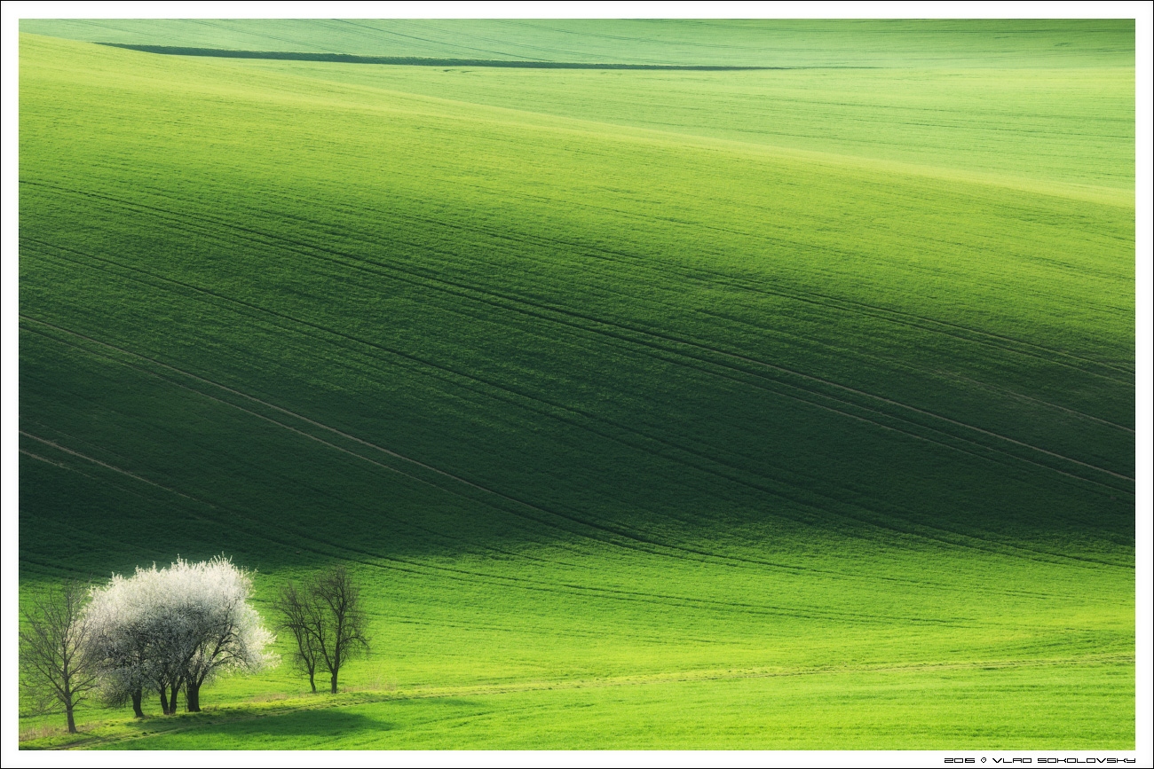 / Весна в Южной Чехии / | Фотограф Влад Соколовский | foto.by фото.бай
