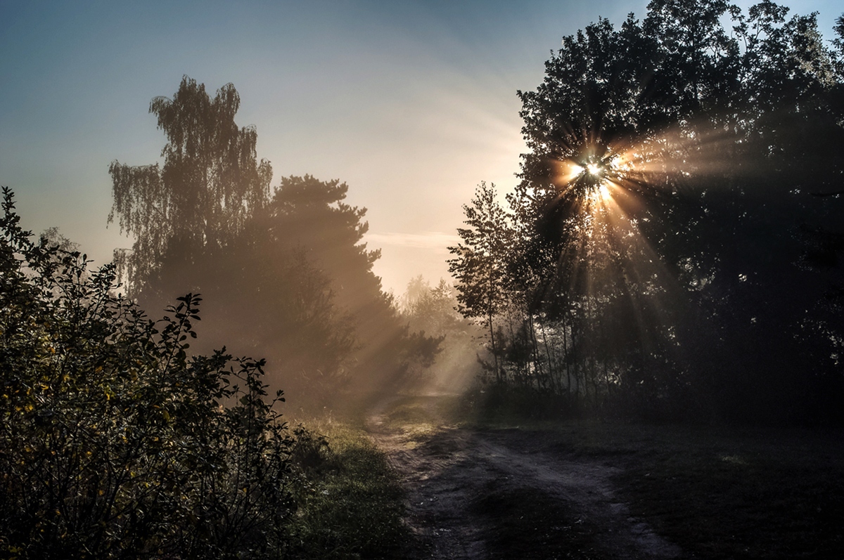 Утро, солнце и туман | Фотограф Вiктар Стрыбук | foto.by фото.бай
