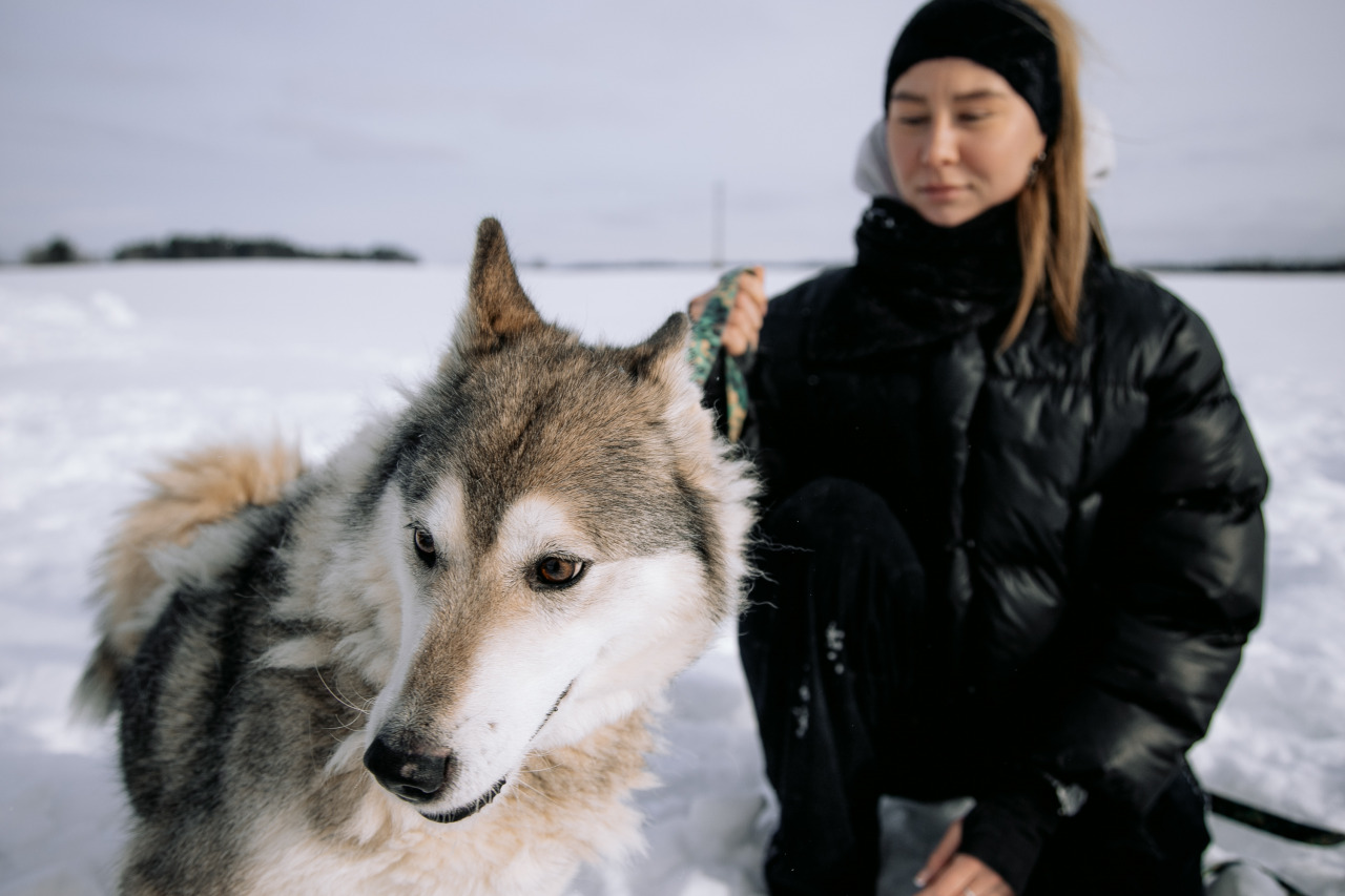 Фотограф в Минске - семейный, свадебный, репортажный фотограф. Фотосъёмка крещения, дня рождения, юбилея, венчания, корпоратива в Минске., фотография от 19.02.2026
