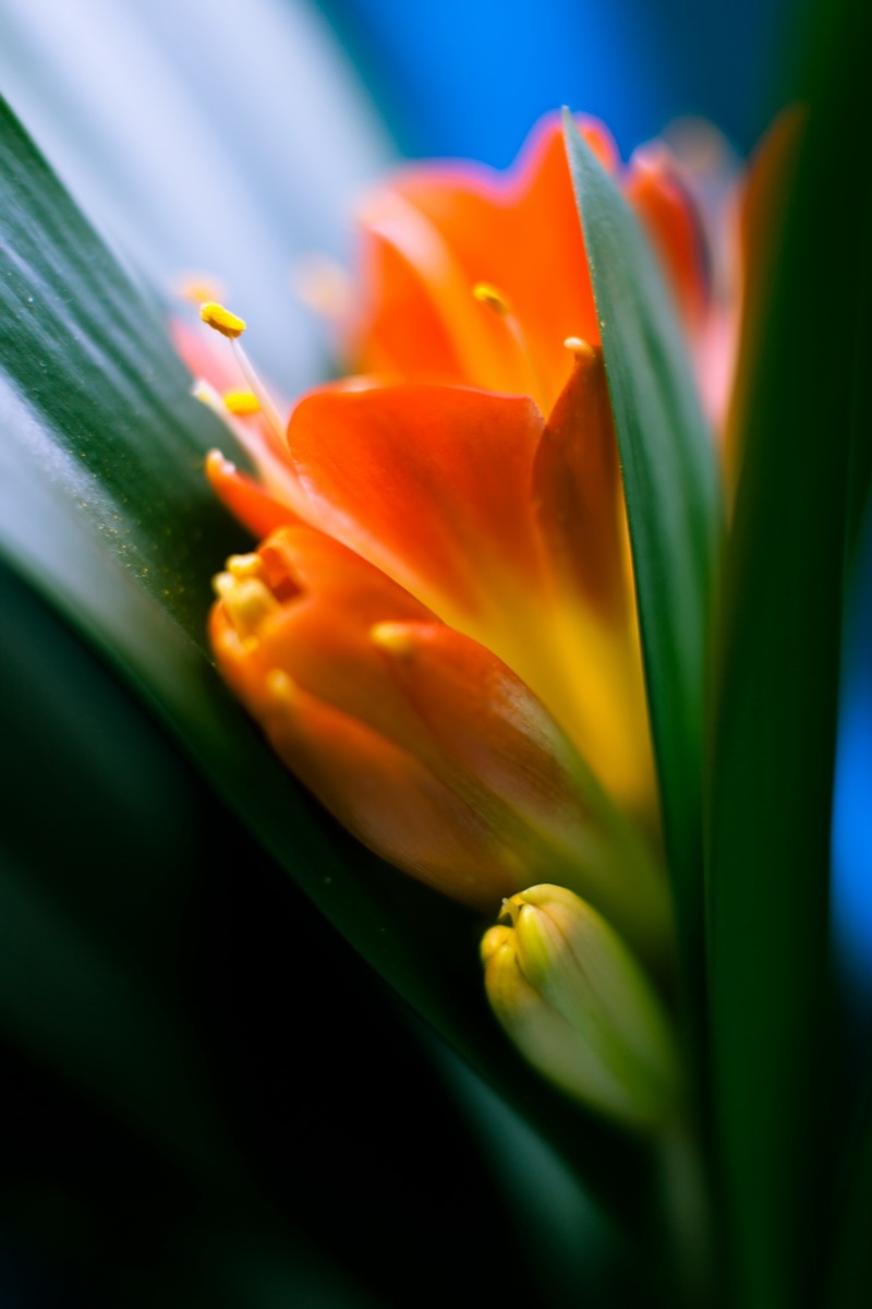 Скоро весна! | Фотограф Айвар Удрис | foto.by фото.бай