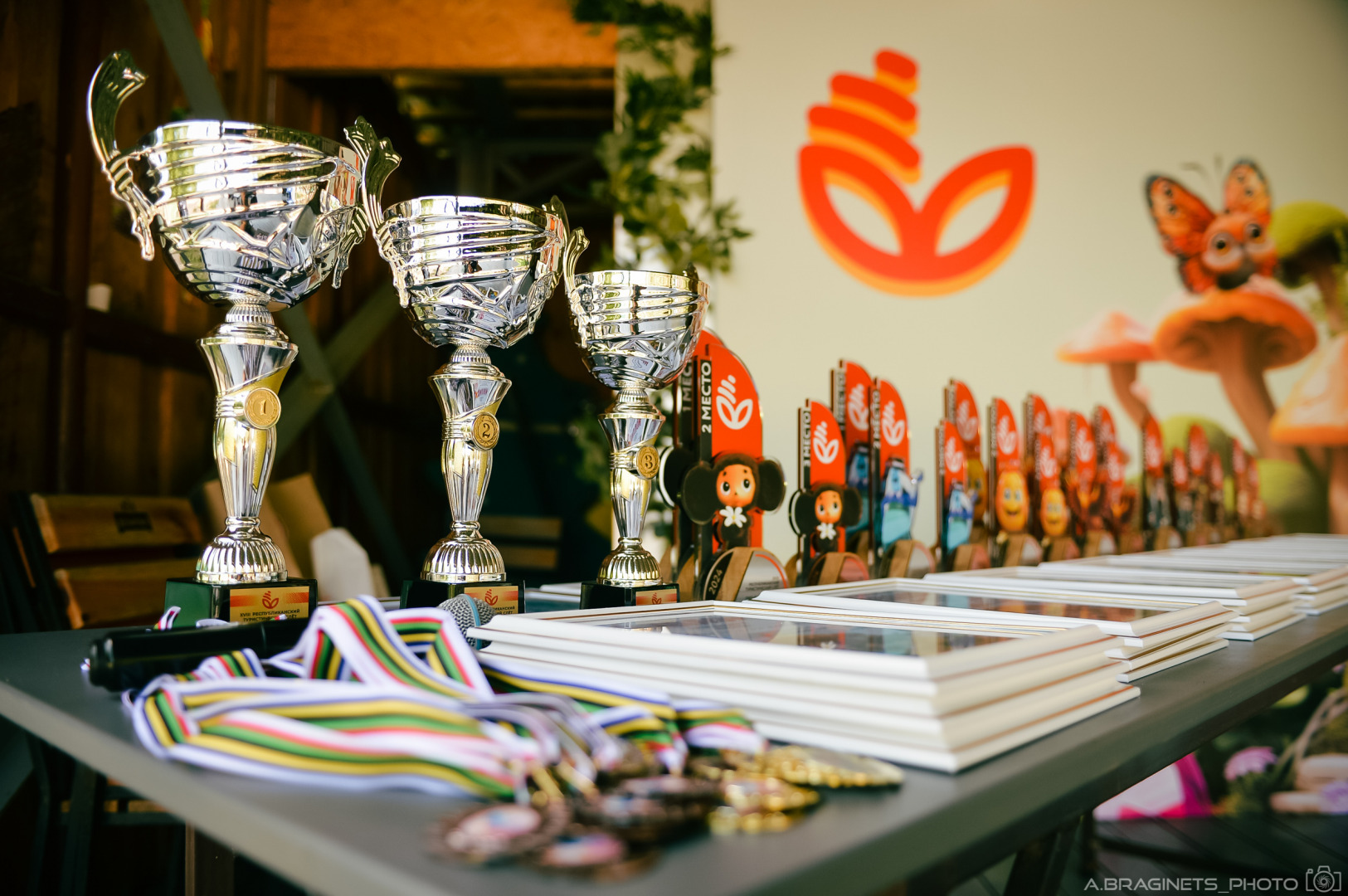 Фотограф Александр Брагинец, фотография от 12.11.2025