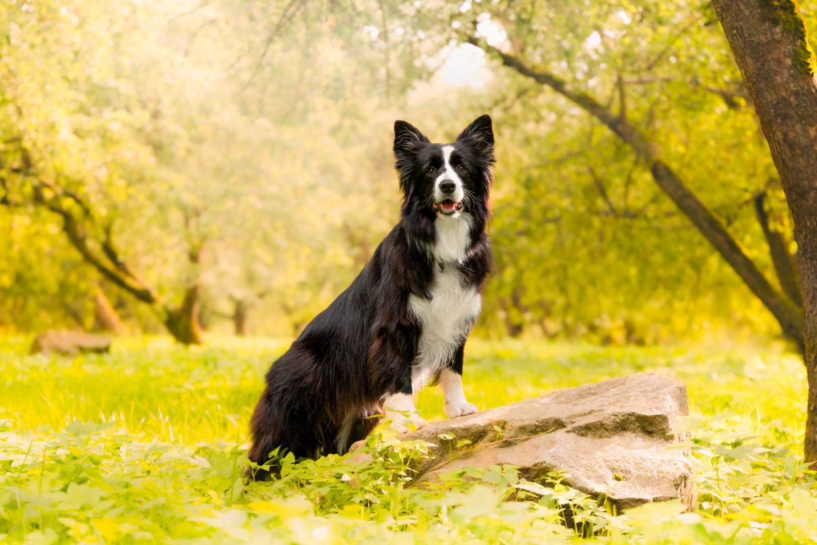 Фотограф Ульяна Третьякович, фотография от 08.10.2025