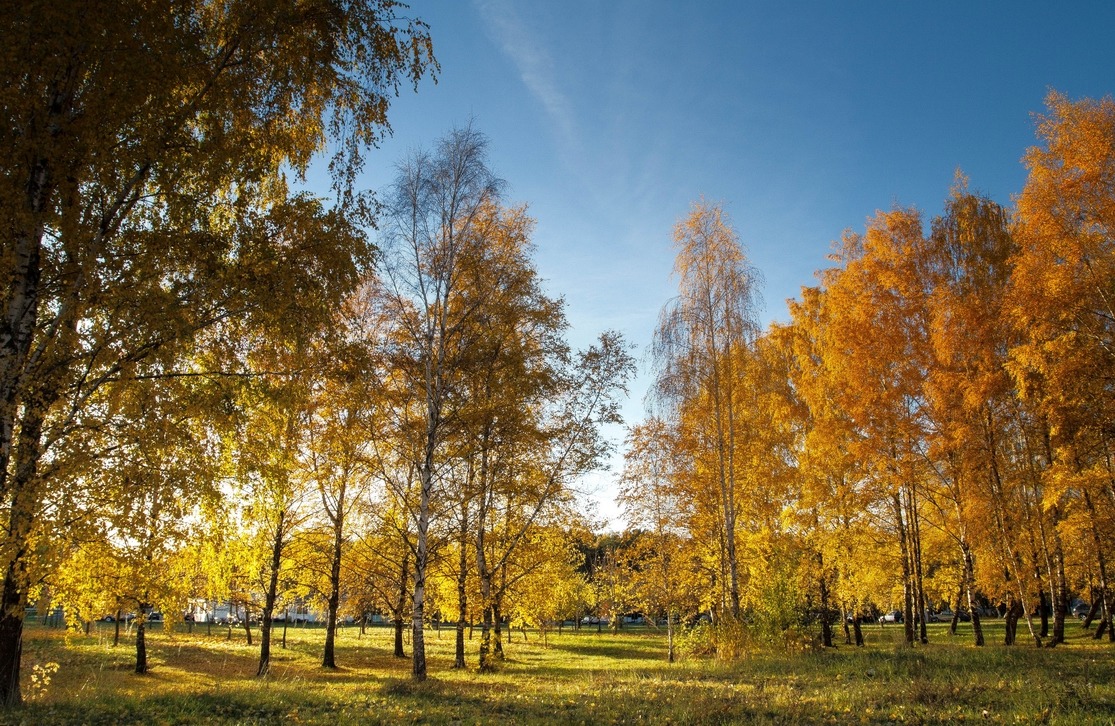 Восеньскі парк | Фотограф Геннадий Ignashevich | foto.by фото.бай