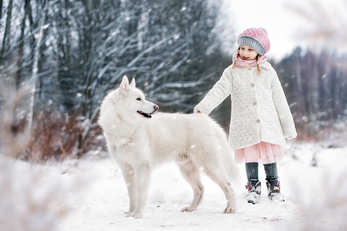 Снегурочка и волк | Фотограф Ирина Пысларь | foto.by фото.бай