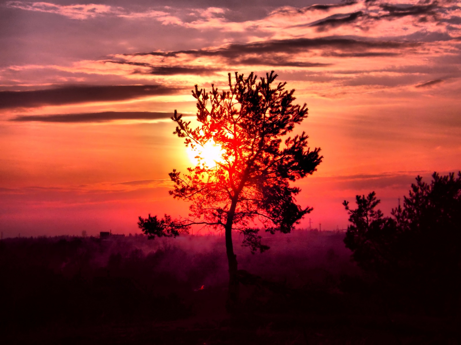 Краски заката | Фотограф Александр Титов | foto.by фото.бай