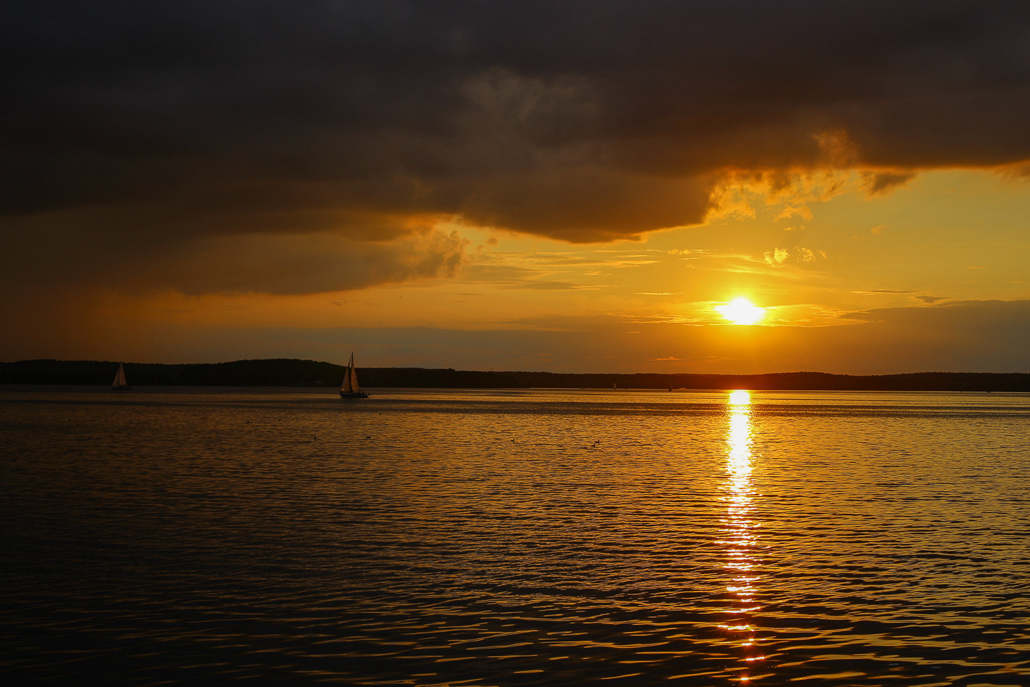 Фотограф Борис Карасик, фотография от 09.01.2019