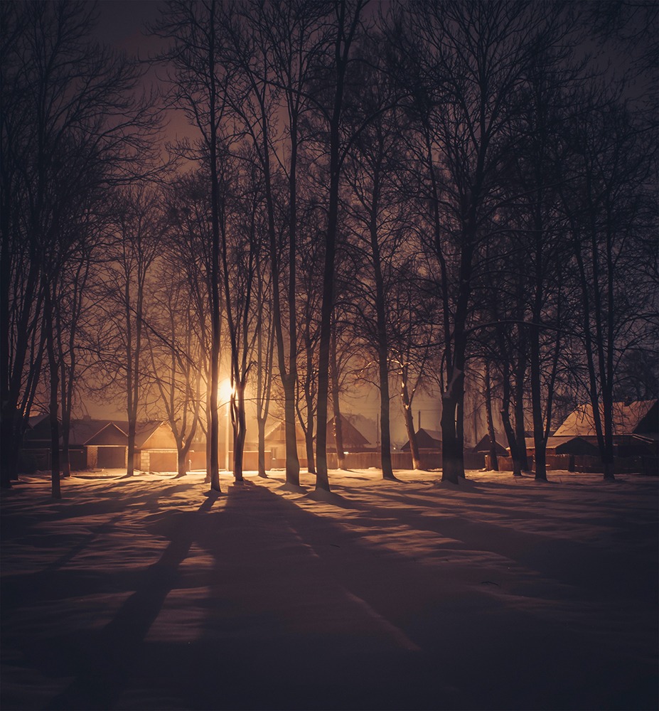 "Свет фонаря" | Фотограф Сергей Колесников | foto.by фото.бай