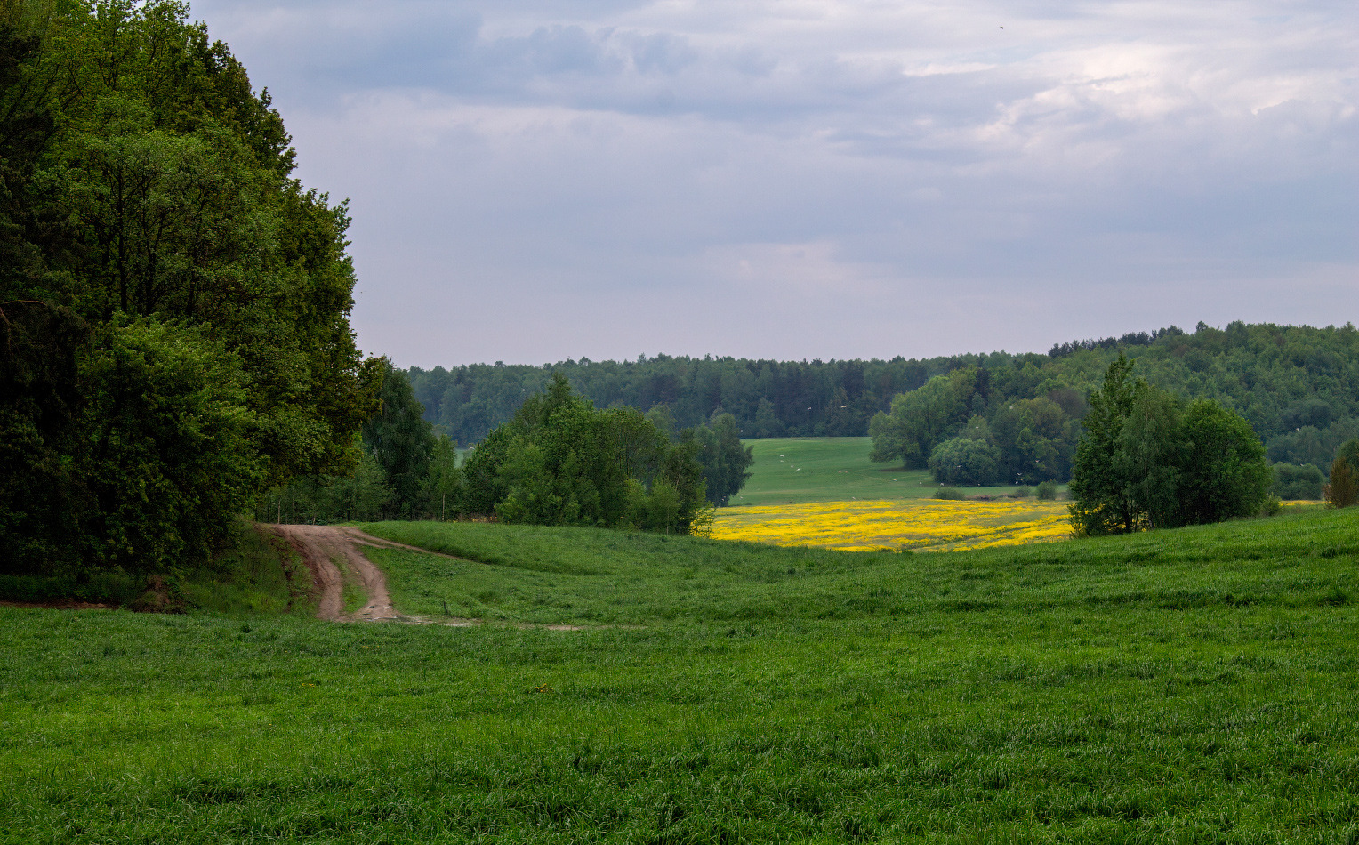 Про утро в мае | foto.by фото.бай