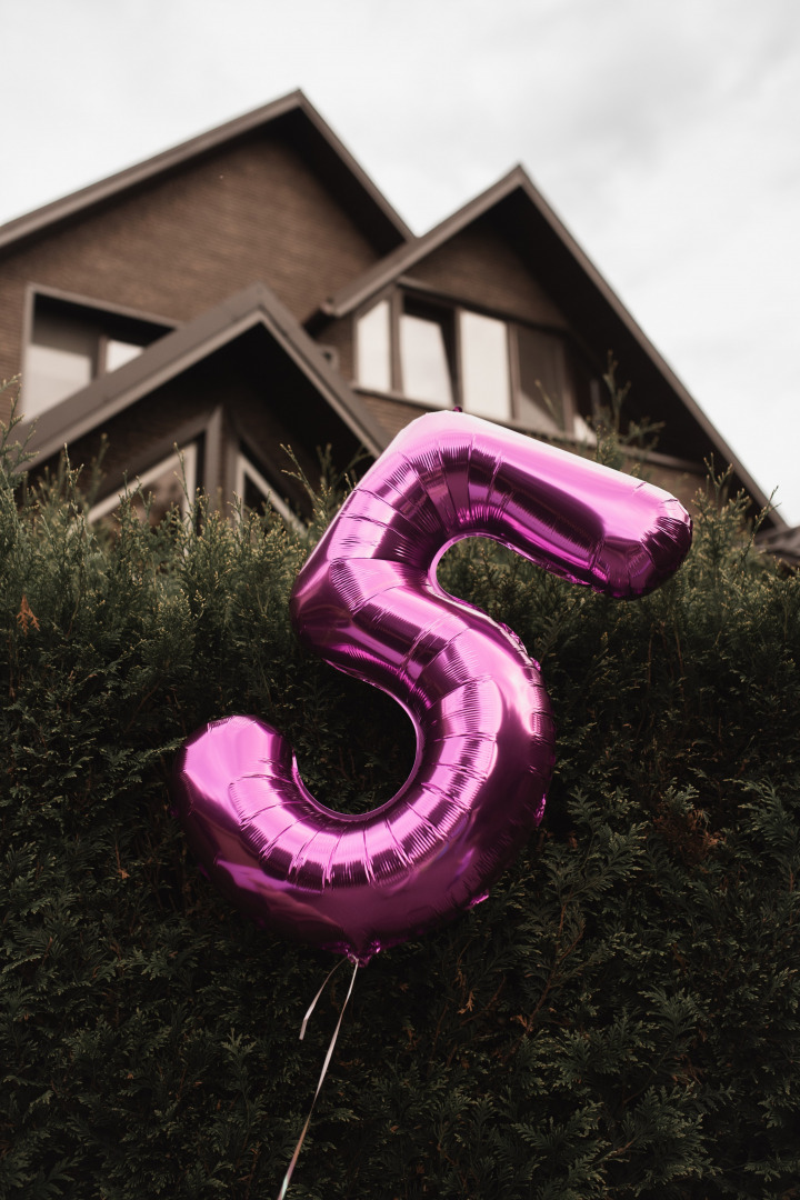 Фотограф Елена Лучкова, фотография от 06.10.2026
