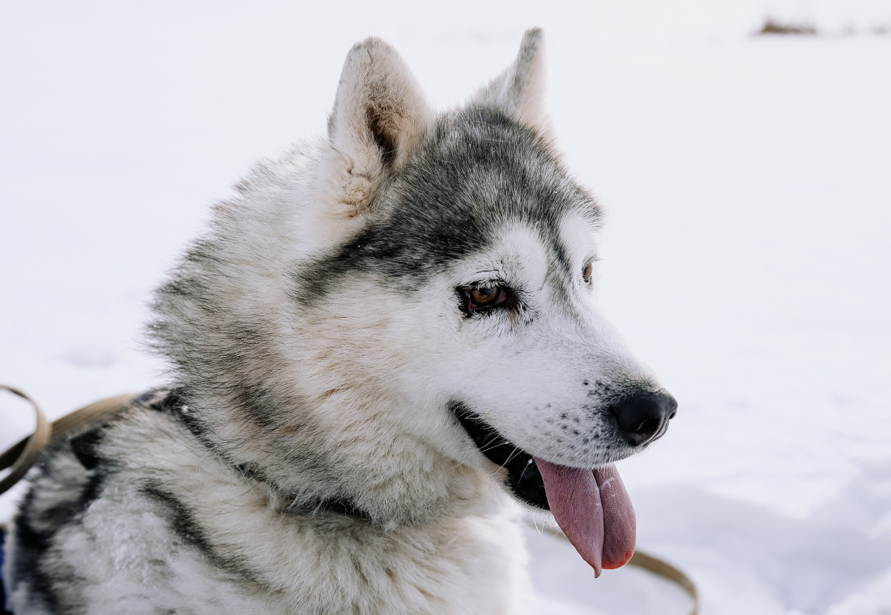 Фотограф в Минске - семейный, свадебный, репортажный фотограф. Фотосъёмка крещения, дня рождения, юбилея, венчания, корпоратива в Минске., фотография от 18.02.2026