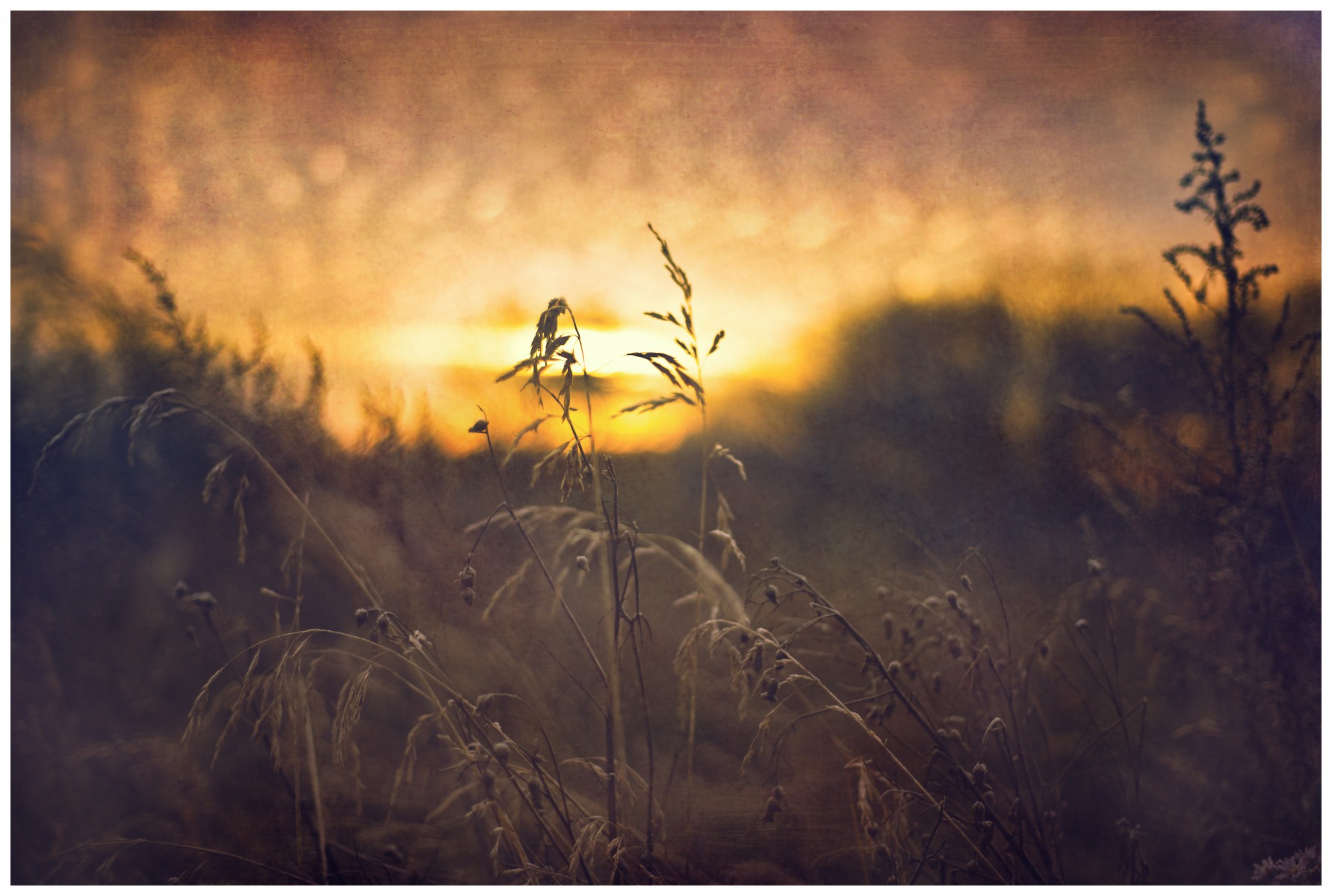 Рассвет, вот только солнышко проснулось... | Фотограф Виктория Шувалова | foto.by фото.бай