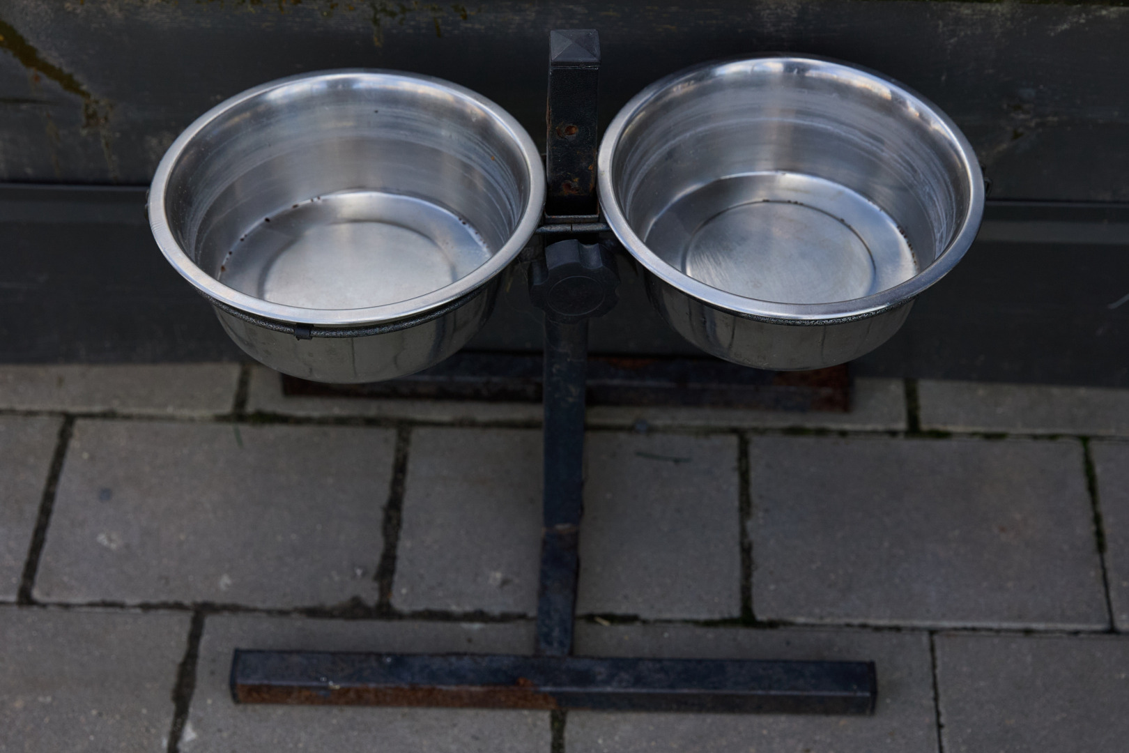 Фотограф Илья и Юлия Ширмановы, фотография от 17.12.2025