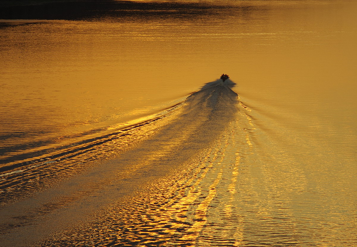 Золото заката | Фотограф Сергей Шляга | foto.by фото.бай