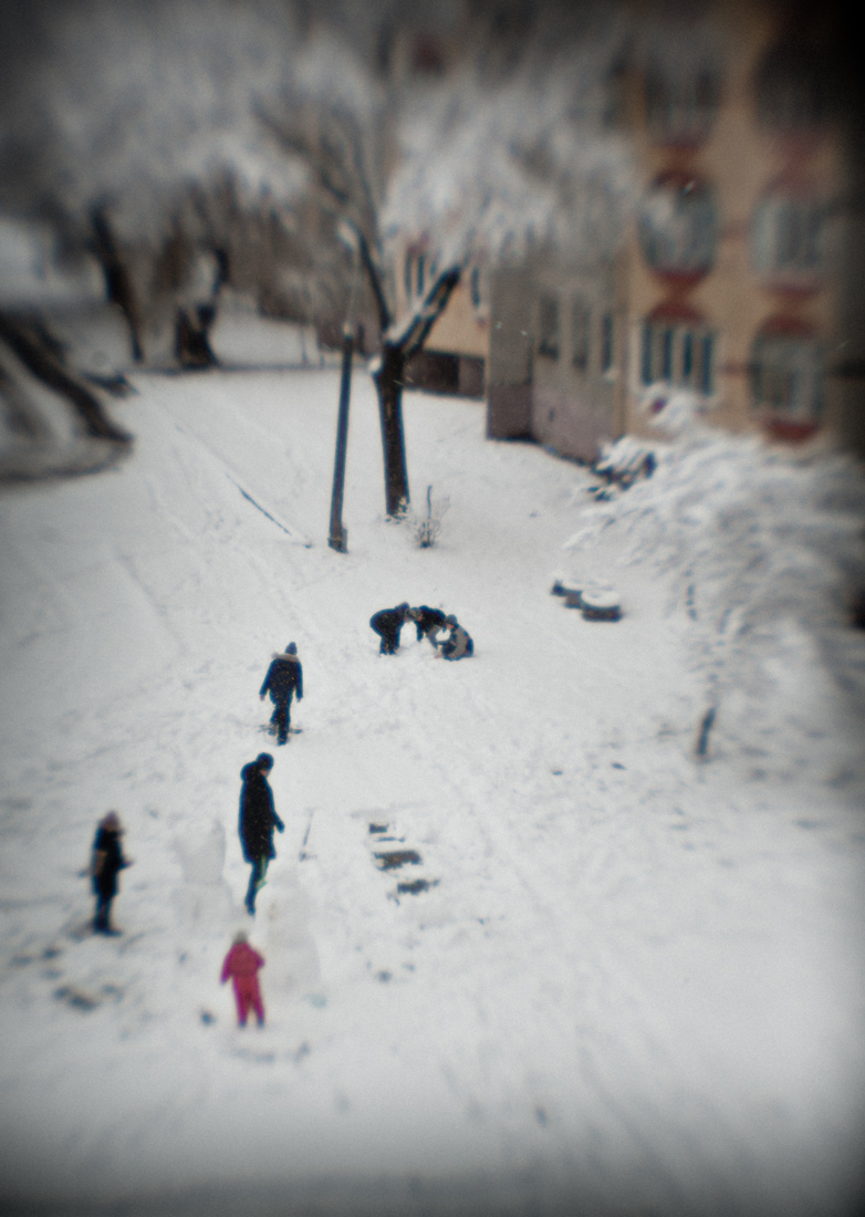 Зима от монокля... | Фотограф Петр Голосов | foto.by фото.бай