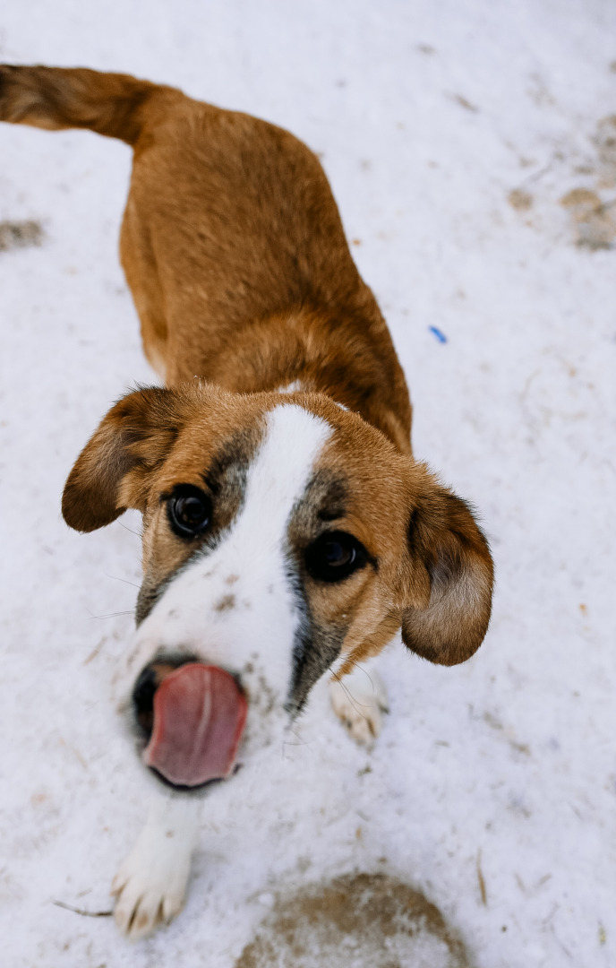 Фотограф в Минске - семейный, свадебный, репортажный фотограф. Фотосъёмка крещения, дня рождения, юбилея, венчания, корпоратива в Минске., фотография от 18.02.2026