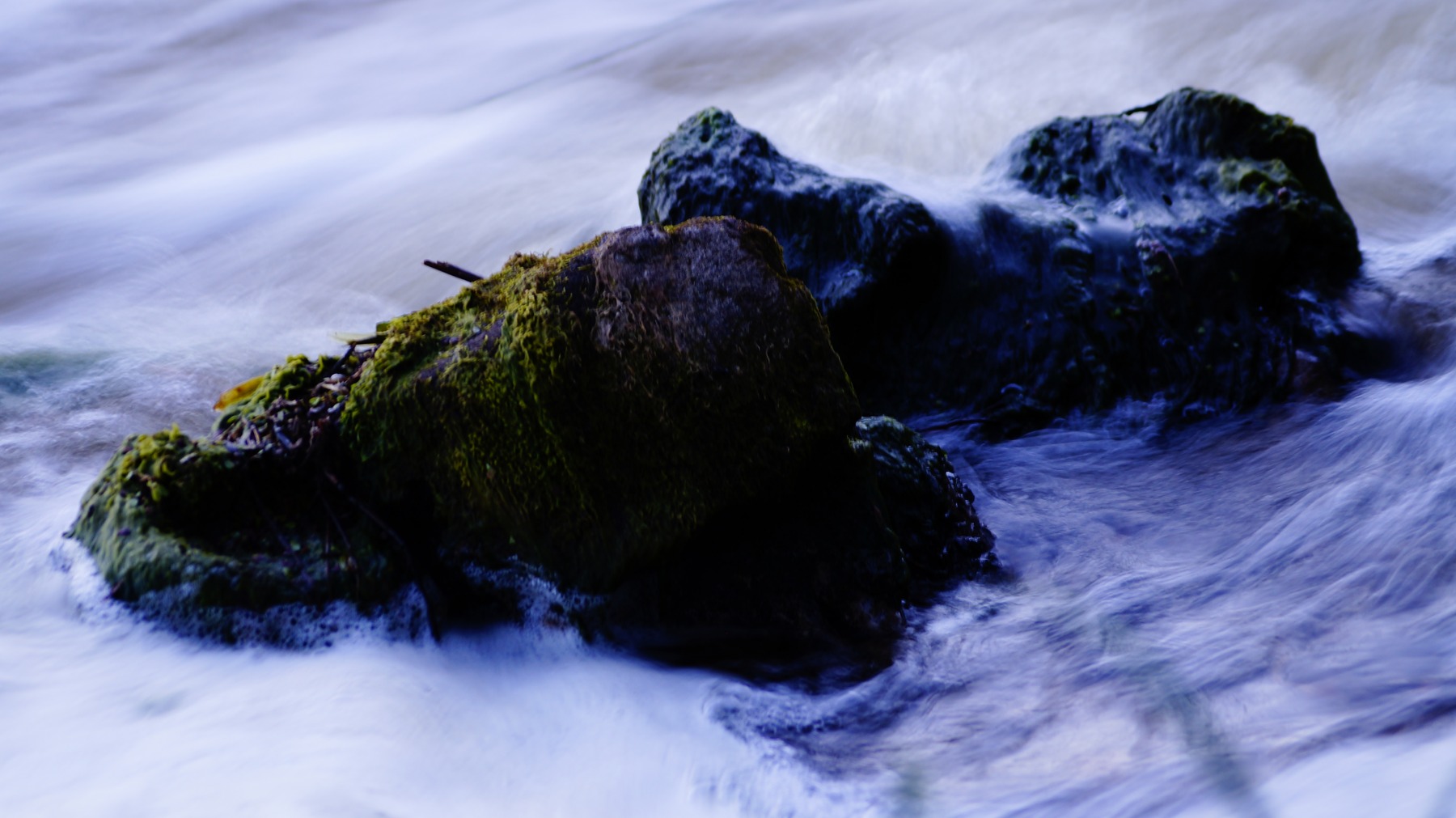 Под лежачий камень вода не течет | Фотограф Александр Васильев | foto.by фото.бай