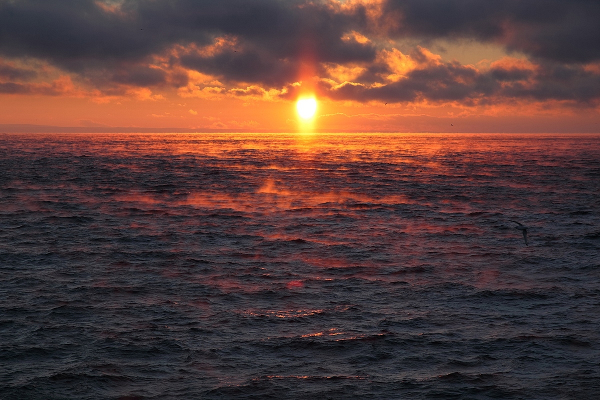 Дыхание океана | Фотограф Владимир Науменко | foto.by фото.бай
