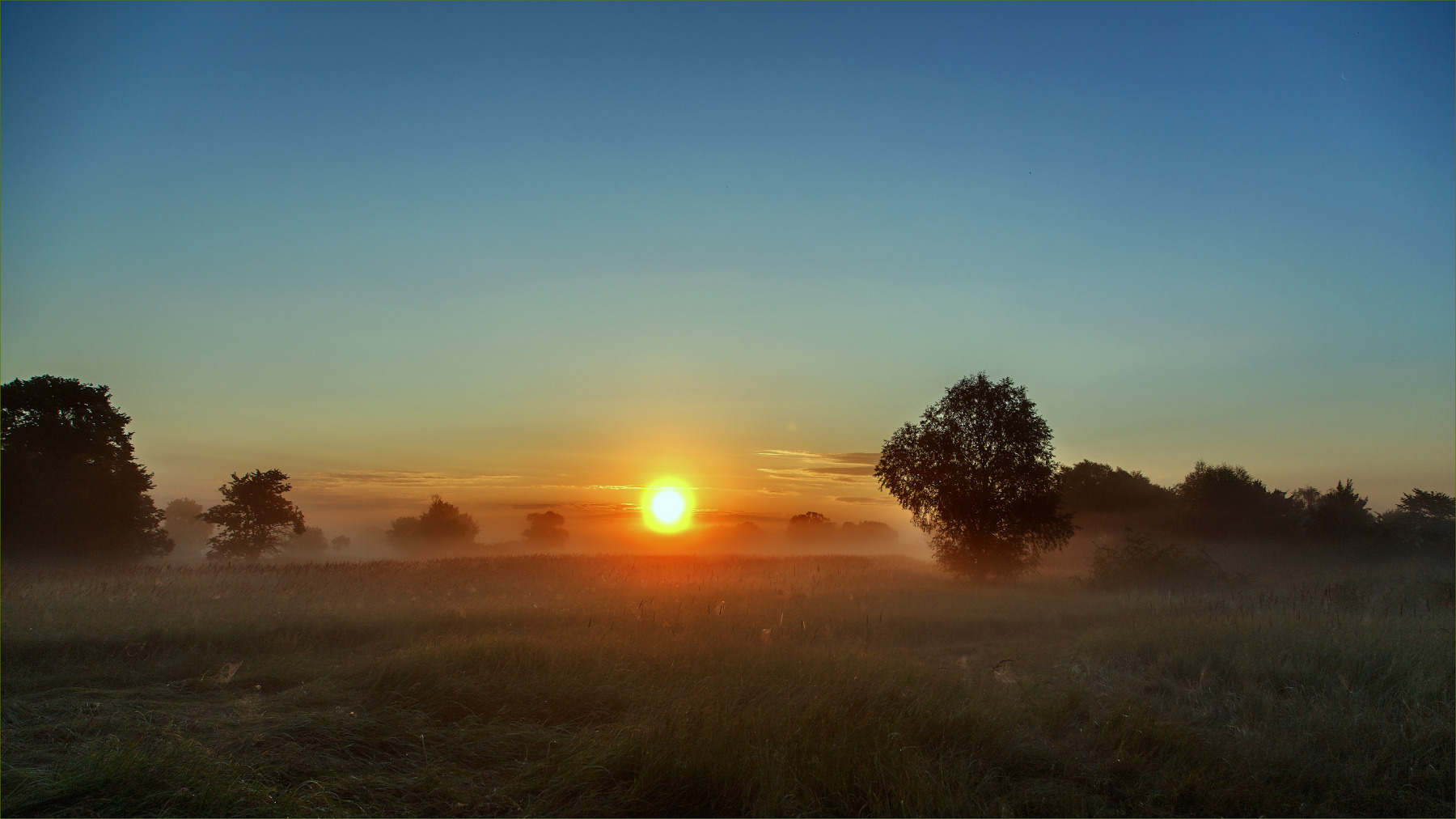 Утро на р. Припять | Фотограф Геннадий Пугач | foto.by фото.бай