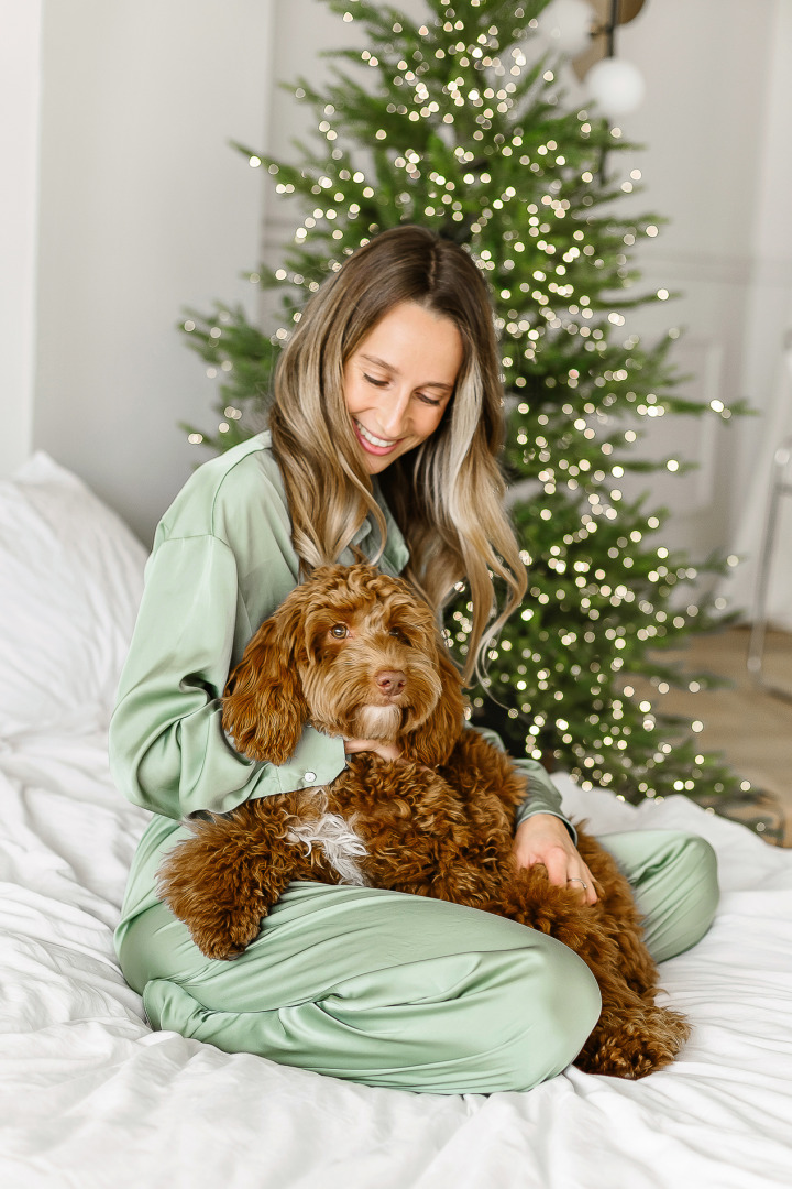 Фотограф Анна Островская, фотография от 15.01.2026