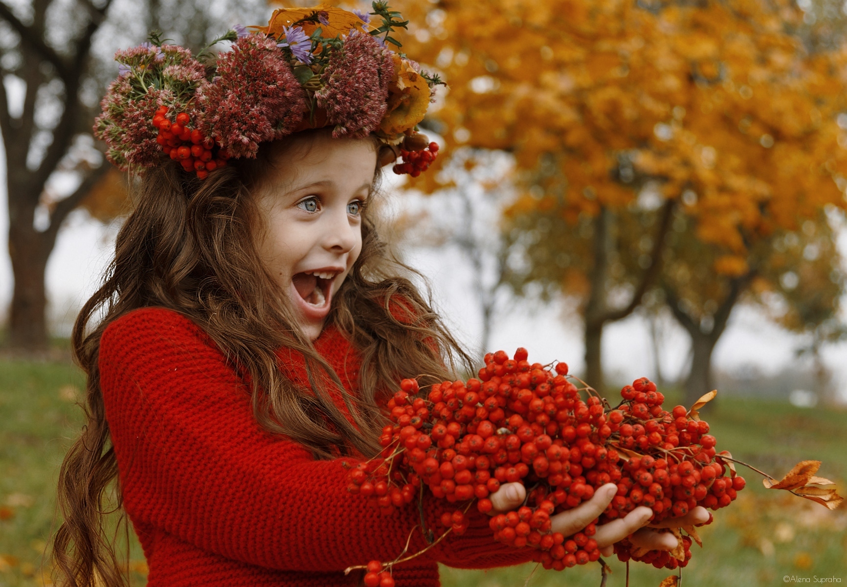 Осень...красивая Осень... | Фотограф Алена Супряга | foto.by фото.бай